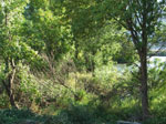 Photo of the East Harbor Natural Area