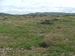 Photograph of Lot 32 looking southeast from the northwest corner