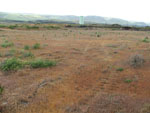Photograph of Lot 38 looking east from the southwest corner