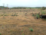 Photograph of Lot 38 looking northwest from the southwest corner